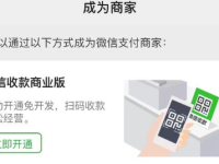 解密微信支付商户号:从注册到功能全解析