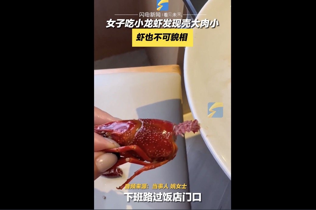 女子购买看似饱满大龙虾却遇“壳多肉少”困境,100元购买经验引发网友讨论