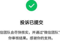 微信开发的页面如何禁止投诉按钮显示?如何优化用户体验以降低投诉率