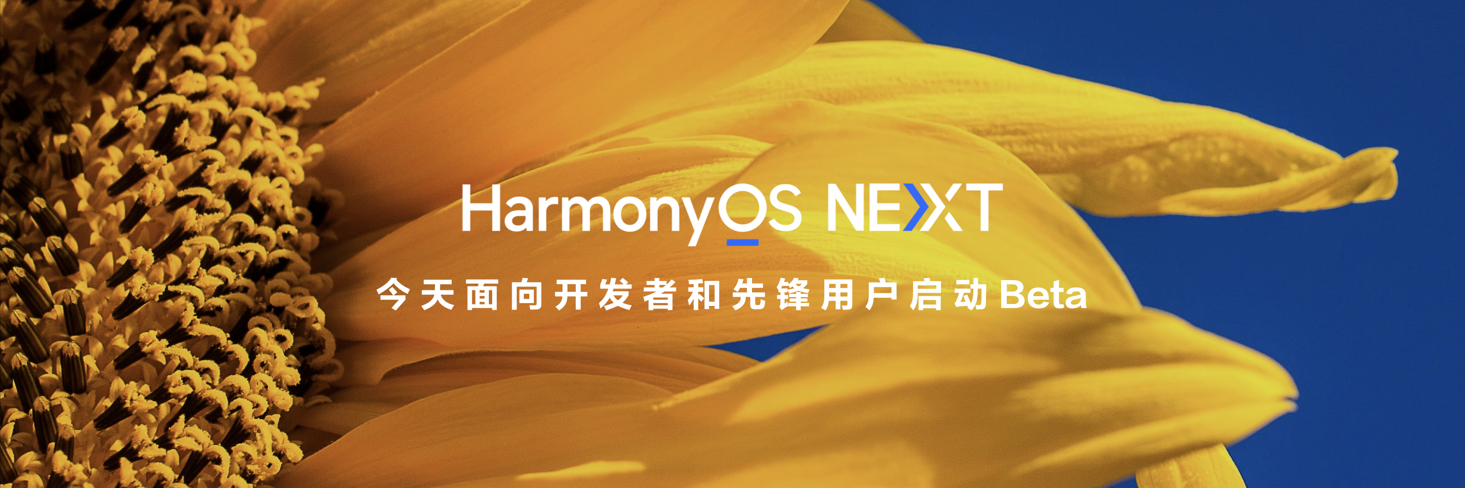 华为发布纯血鸿蒙HarmonyOS NEXT,全面提升麒麟处理器性能