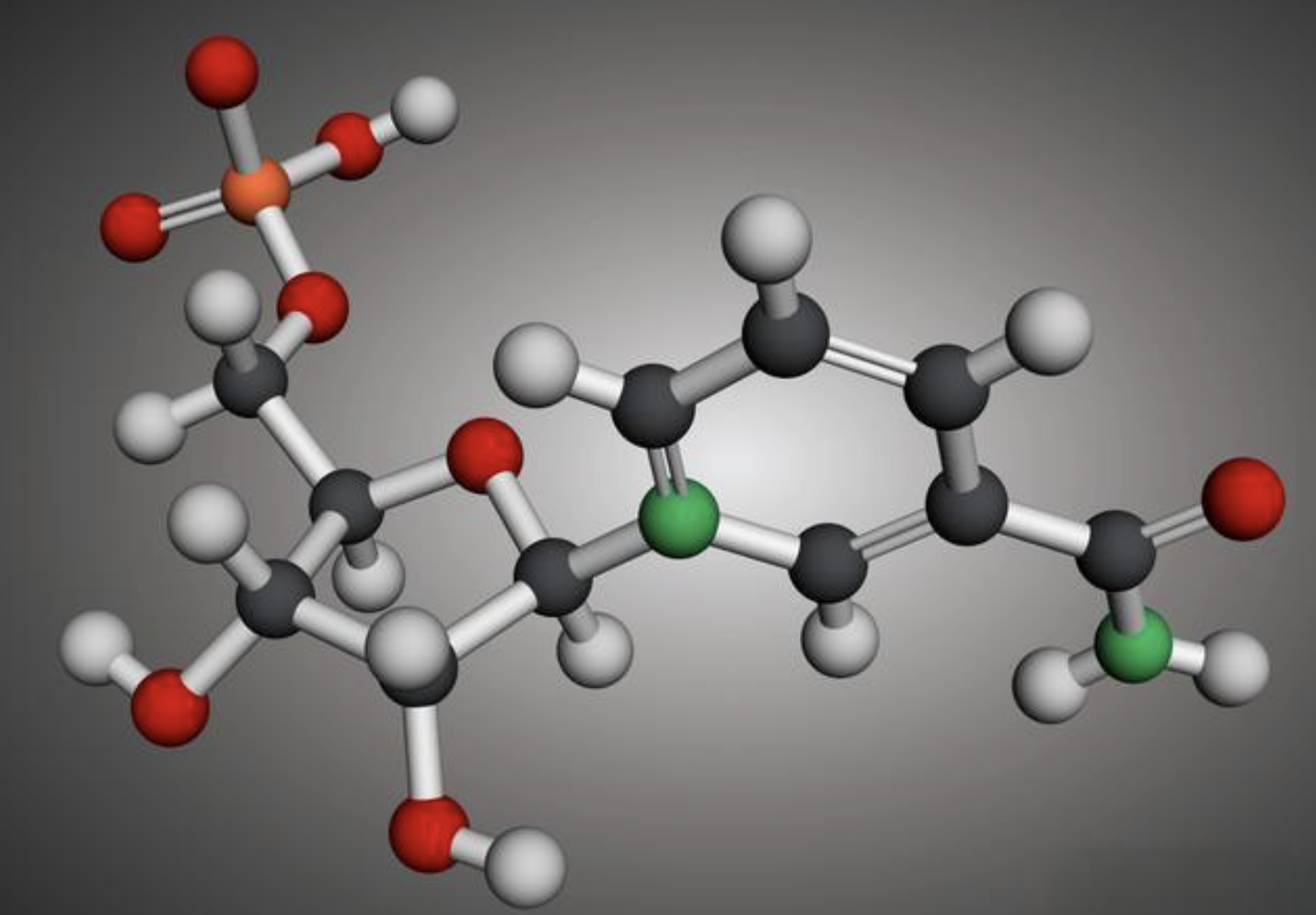 新加坡科学家研发抗衰老新药:延长寿命并改善视力和肌肉功能
