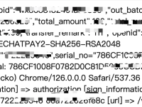 微信支付 v3 错误的签名及验签失败原因与解决方案详解