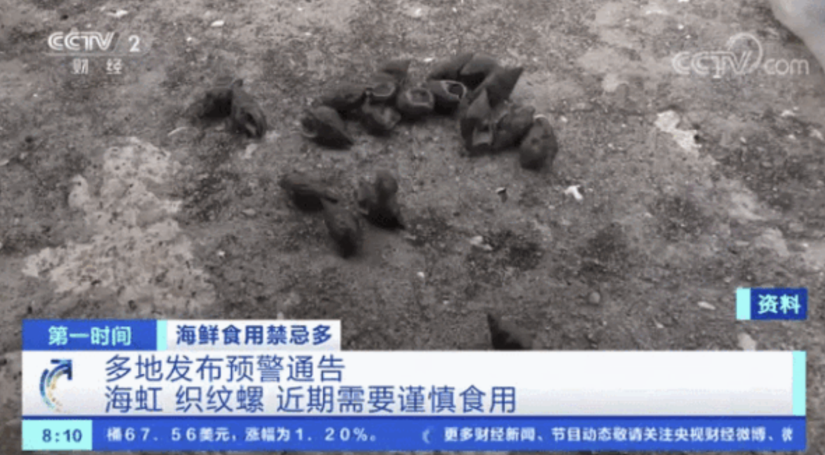 浙江女子误食织纹螺险丧命:医生警示河豚毒素风险,切勿轻视