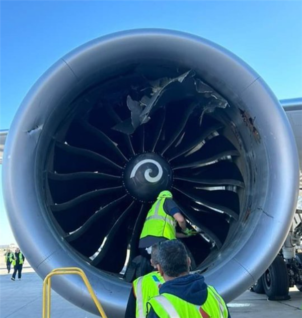美国波音787客机引擎意外吸入行李集装箱 事故背后竟因巧合引发