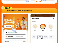 滴滴宠物快车全国上线,带宠物出行再也不用担心被拒载