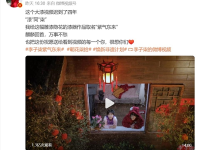 李子柒正式更名，身份证姓名从“李佳佳”改为“李子柒”