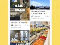 网易版“小红书”悄然上线:“网易小蜜蜂”App发力年轻人种草社区