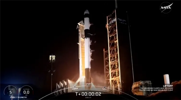 世界首颗木壳人造卫星“LignoSat”升空,日本为环保太空探索开新篇