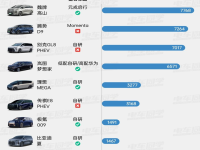 2025年辅助驾驶交付黑马:元戎启行单月突破3万辆背后的成功密码