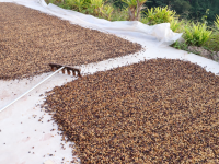 拼多多千亿扶持计划成效显著：包邮区扩大超50%，偏远地区网购体验全面提升