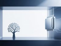 AI巨头杨立昆离开Meta自立门户,英伟达财报超预期股价飙升