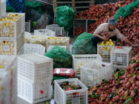 拼多多Q3财报发布:营收1083亿元,千亿扶持战略加速产业升级