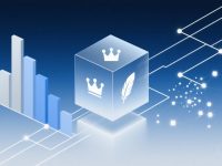 洪玄烨爆红背后的传播密码：互联网历史梗为何能席卷全网